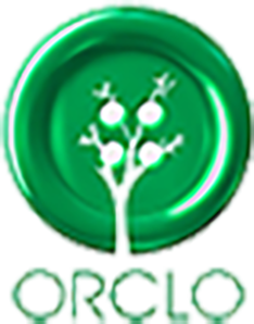 Idealift Studio Ranchi Digital Marketing Solutions